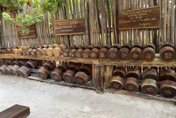 Tulum Jungle Gym Weights