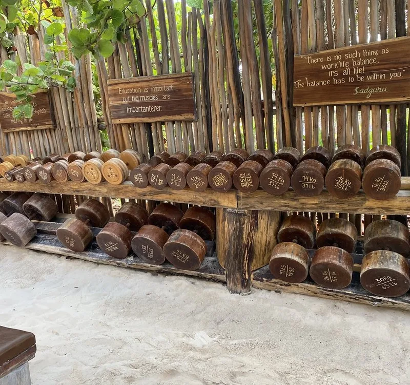 Tulum Jungle Gym Weights