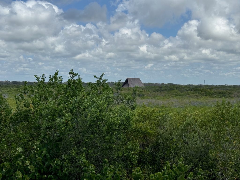 Tulum Jungle Adventure