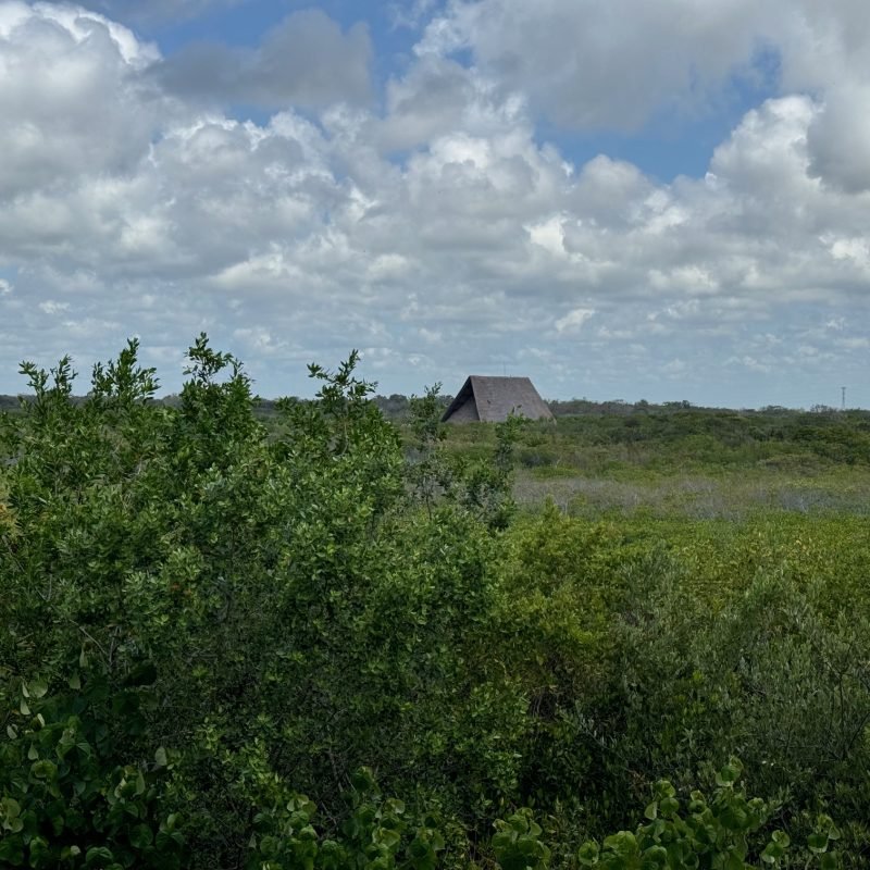 Tulum Jungle Adventure