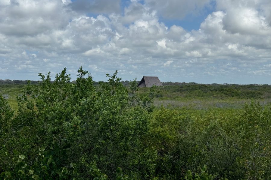Tulum Jungle Adventure