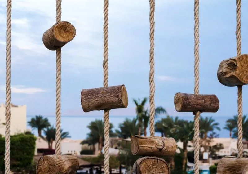 op Hotels Near Tulum Jungle Gym